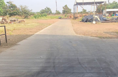 untitled design (29)